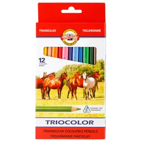 Buntstifte 3142 dreieckig 12 Stück Triocolor mittlere Stärke